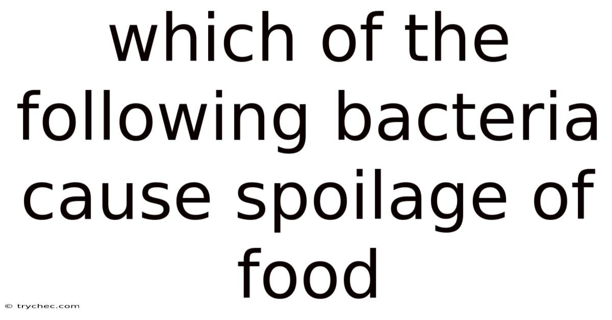 Which Of The Following Bacteria Cause Spoilage Of Food