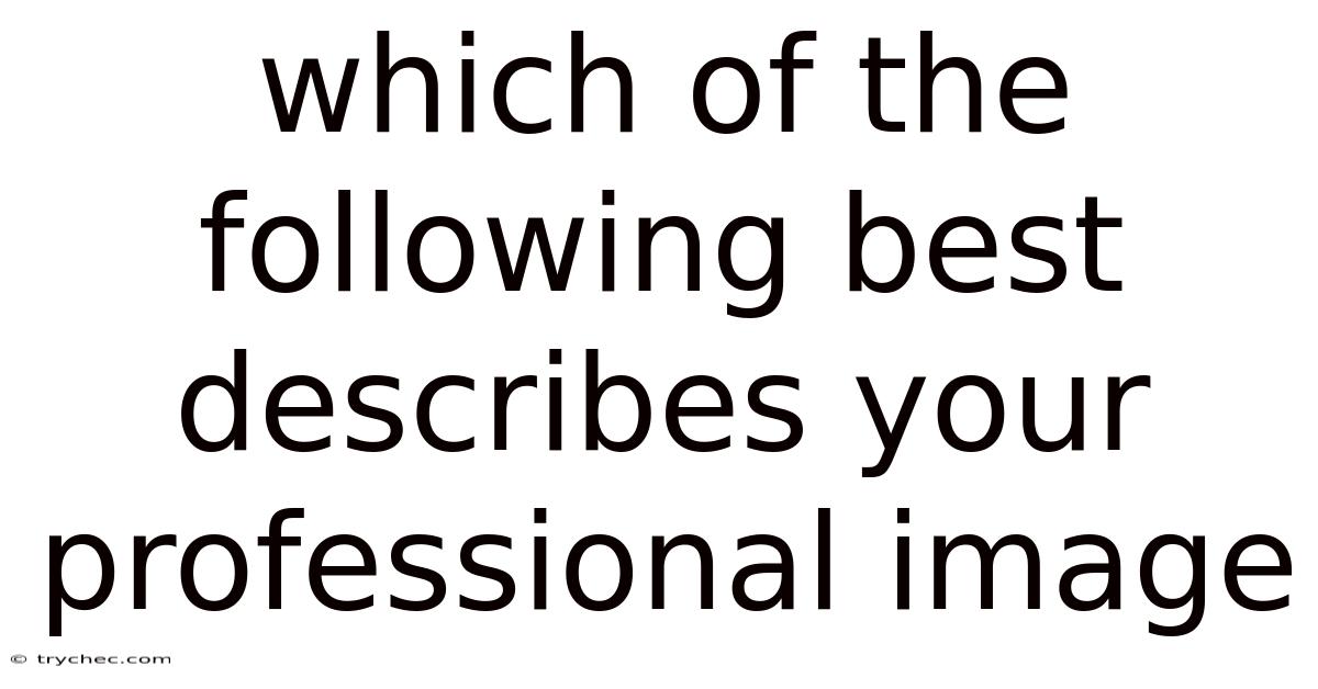 Which Of The Following Best Describes Your Professional Image