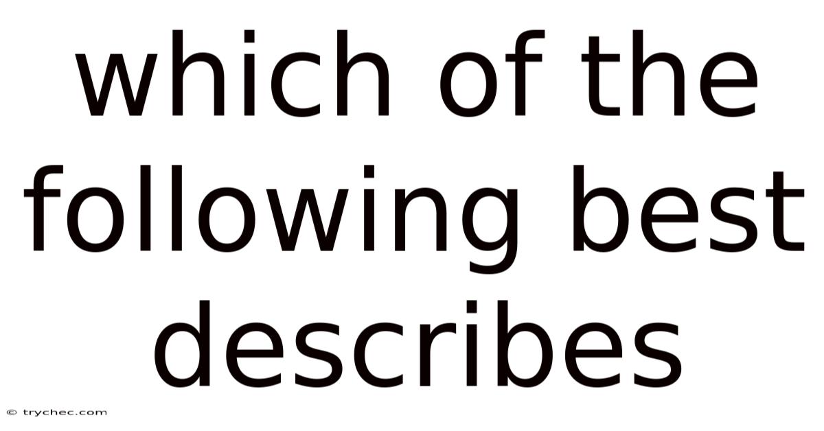 Which Of The Following Best Describes