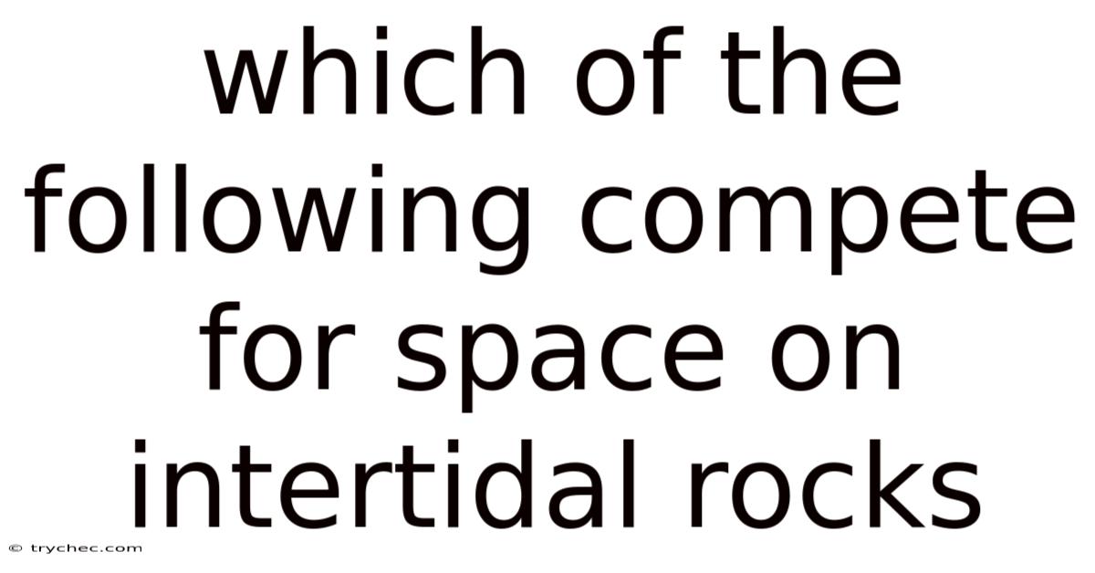 Which Of The Following Compete For Space On Intertidal Rocks