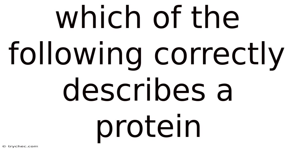 Which Of The Following Correctly Describes A Protein