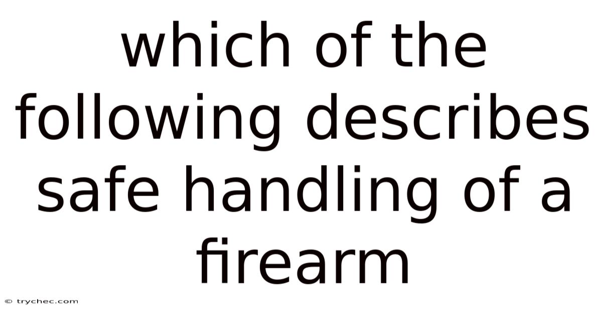 Which Of The Following Describes Safe Handling Of A Firearm