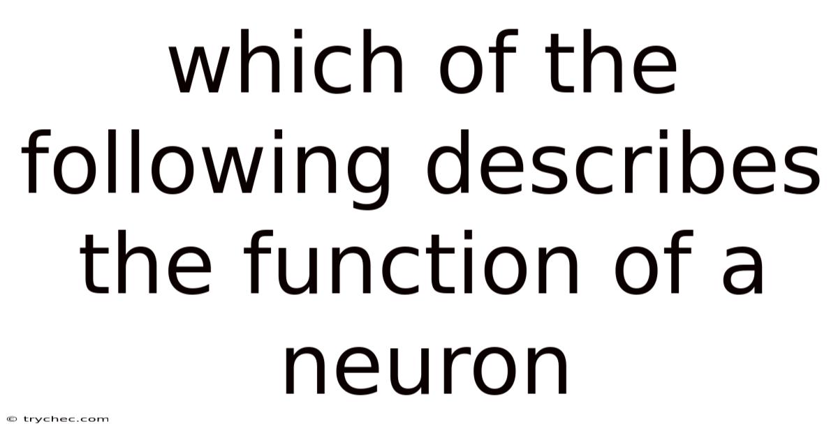 Which Of The Following Describes The Function Of A Neuron