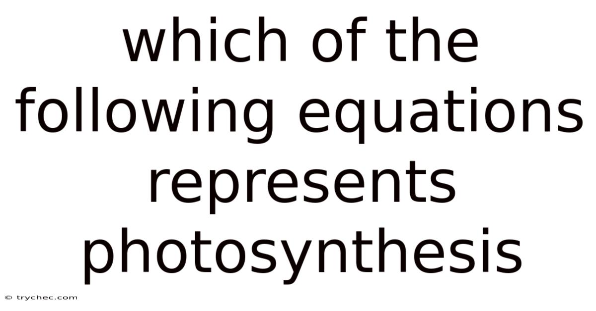 Which Of The Following Equations Represents Photosynthesis