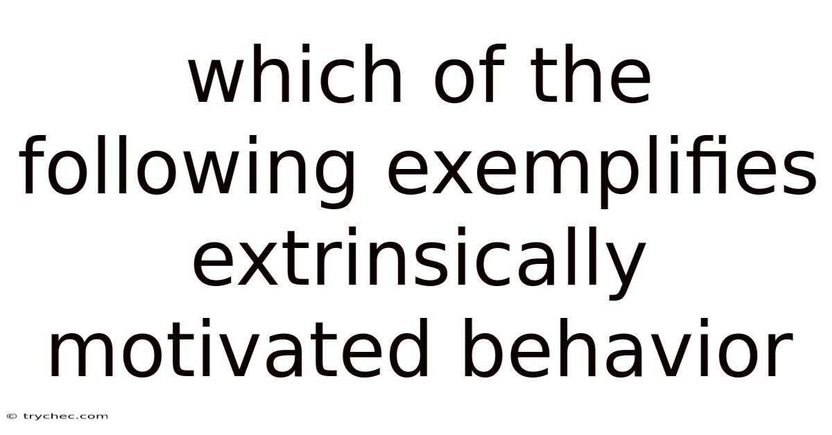 Which Of The Following Exemplifies Extrinsically Motivated Behavior