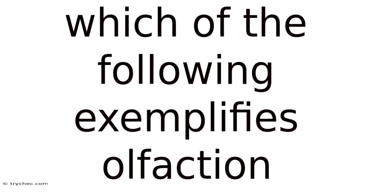 Which Of The Following Exemplifies Olfaction