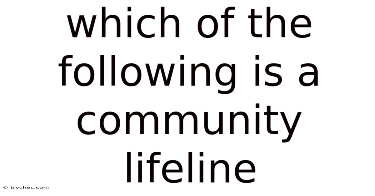Which Of The Following Is A Community Lifeline
