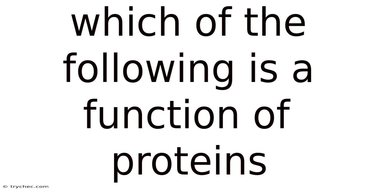 Which Of The Following Is A Function Of Proteins