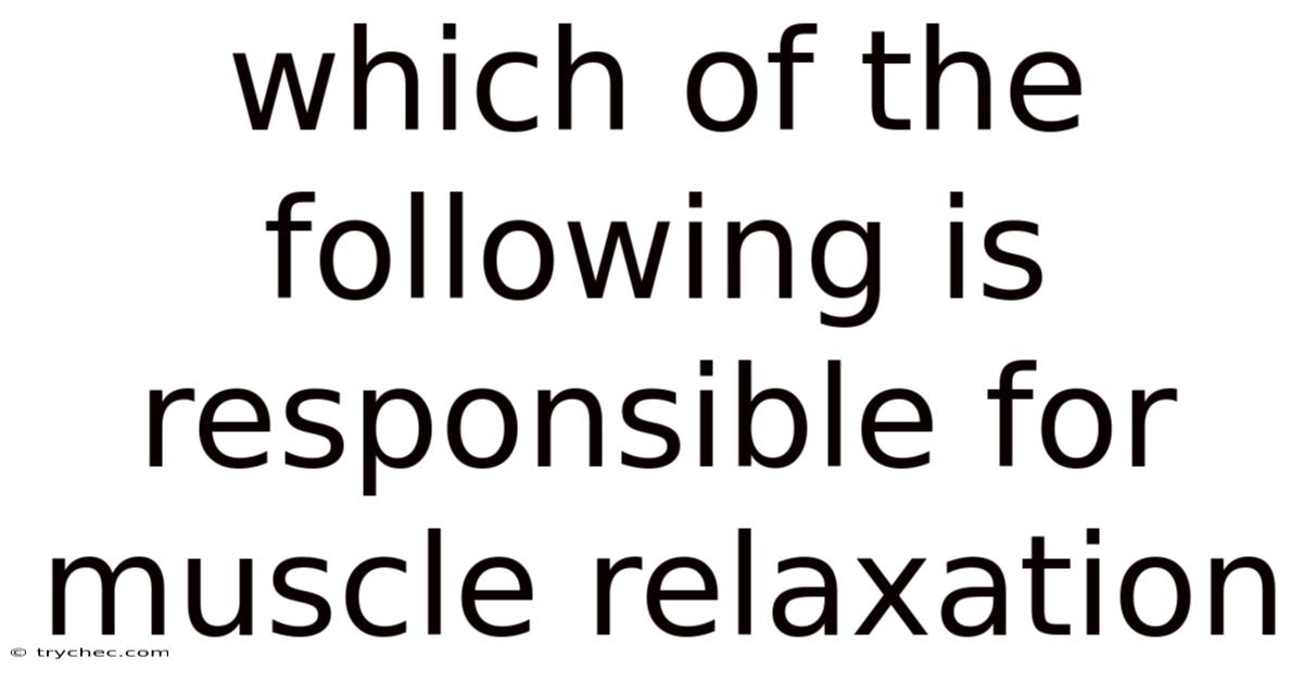 Which Of The Following Is Responsible For Muscle Relaxation