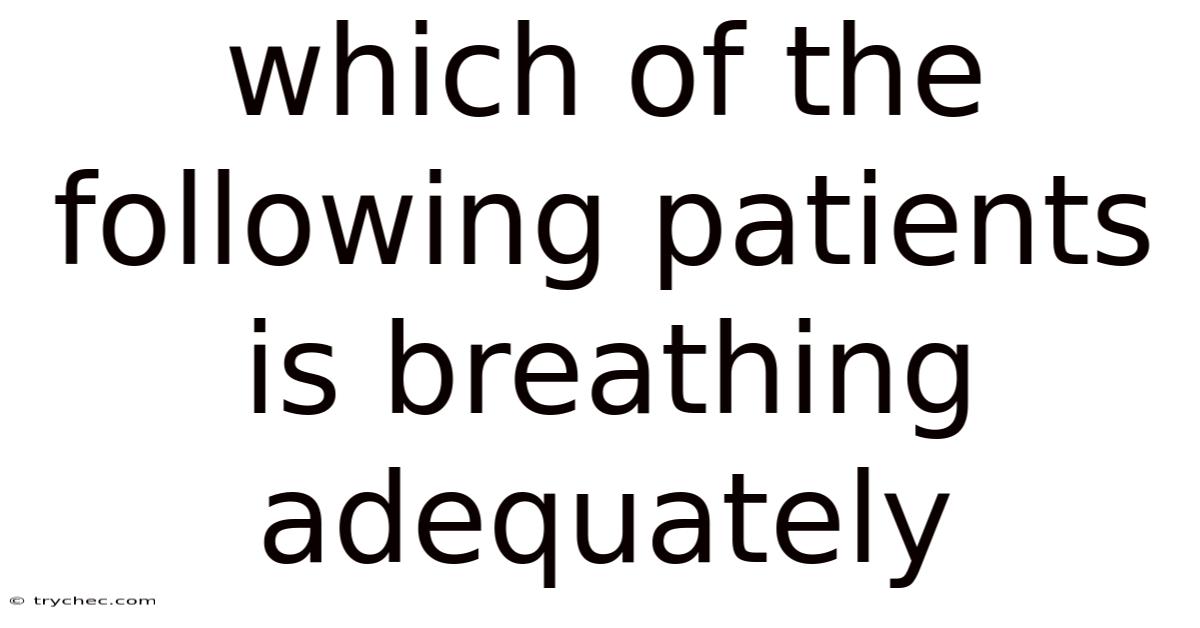 Which Of The Following Patients Is Breathing Adequately