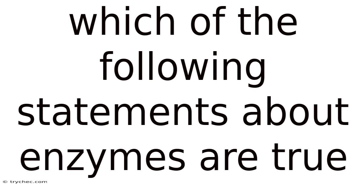 Which Of The Following Statements About Enzymes Are True