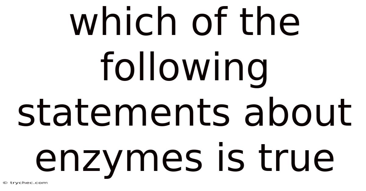 Which Of The Following Statements About Enzymes Is True