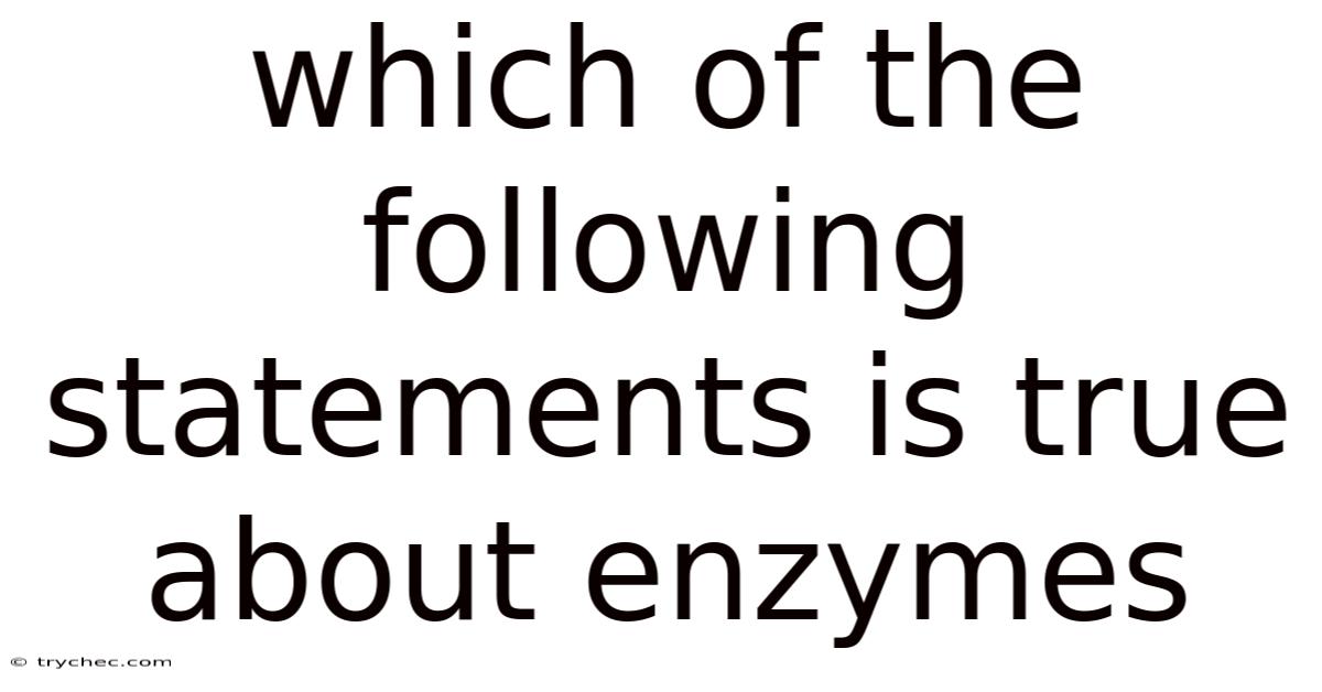 Which Of The Following Statements Is True About Enzymes