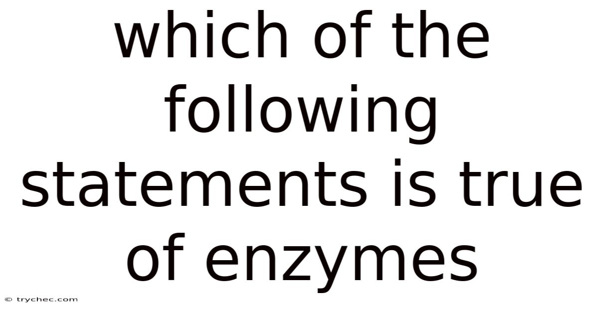 Which Of The Following Statements Is True Of Enzymes