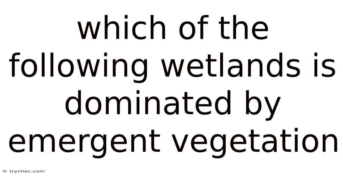 Which Of The Following Wetlands Is Dominated By Emergent Vegetation
