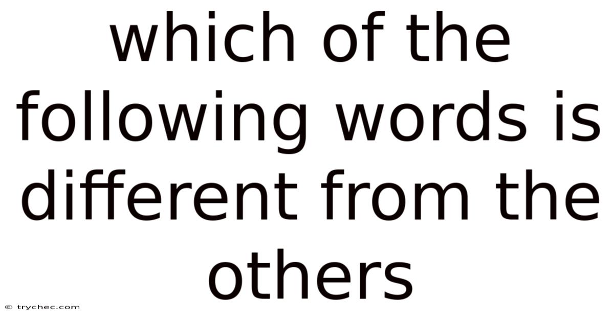 Which Of The Following Words Is Different From The Others