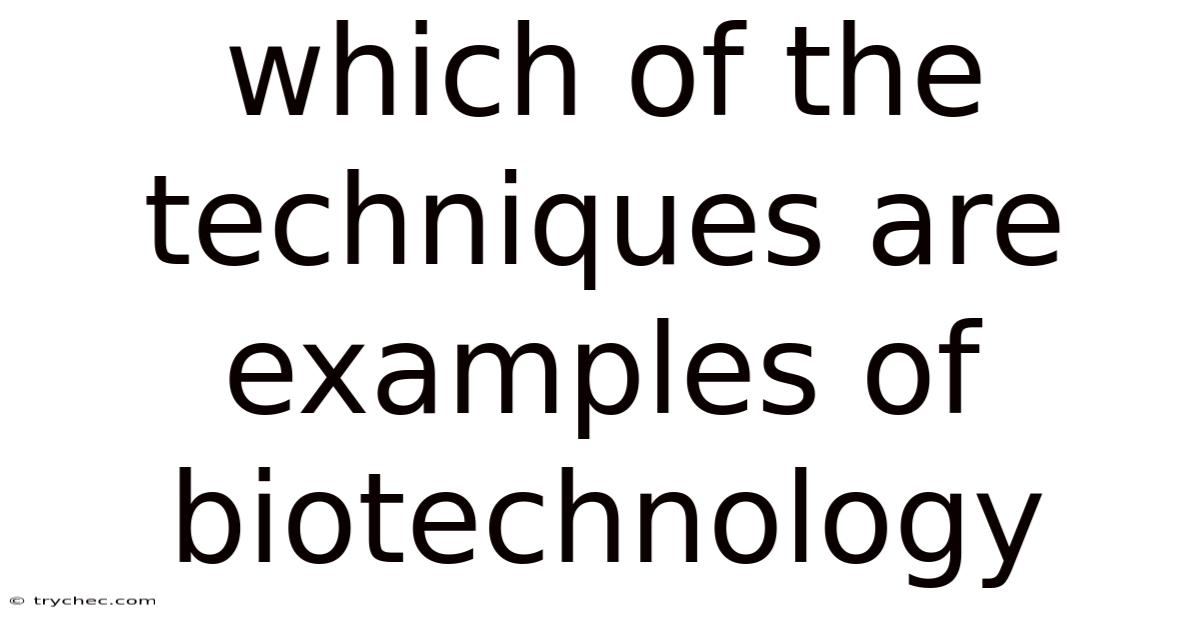 Which Of The Techniques Are Examples Of Biotechnology