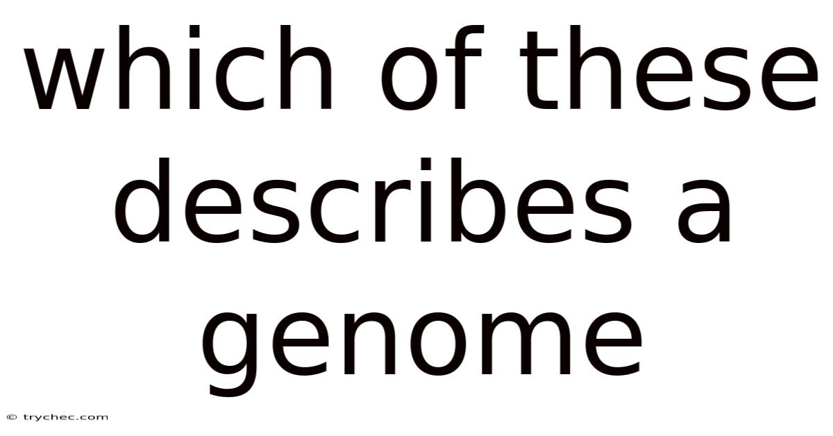 Which Of These Describes A Genome