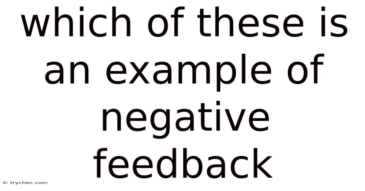 Which Of These Is An Example Of Negative Feedback