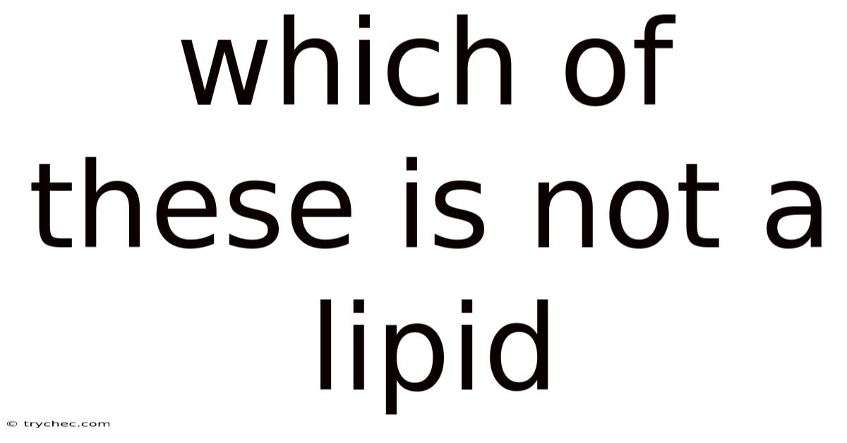 Which Of These Is Not A Lipid