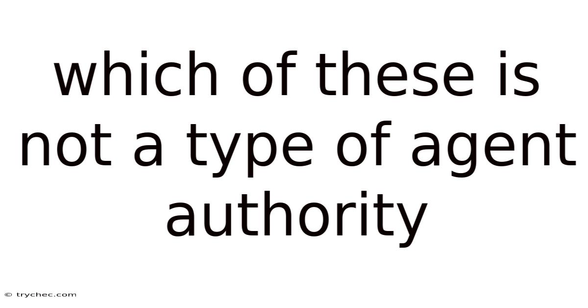 Which Of These Is Not A Type Of Agent Authority
