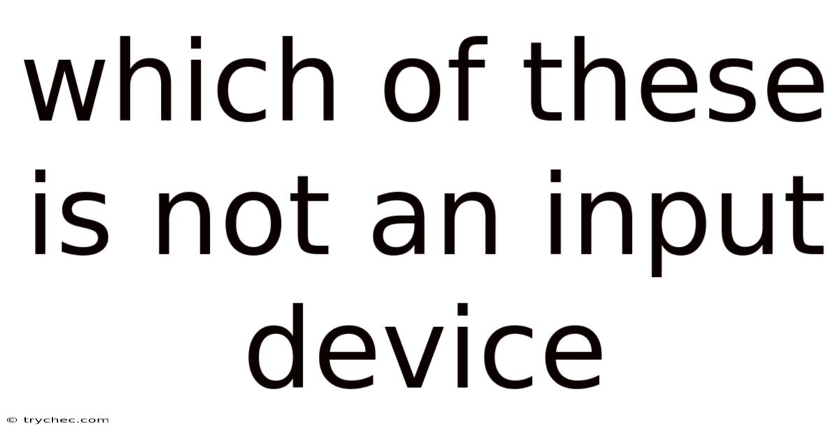 Which Of These Is Not An Input Device