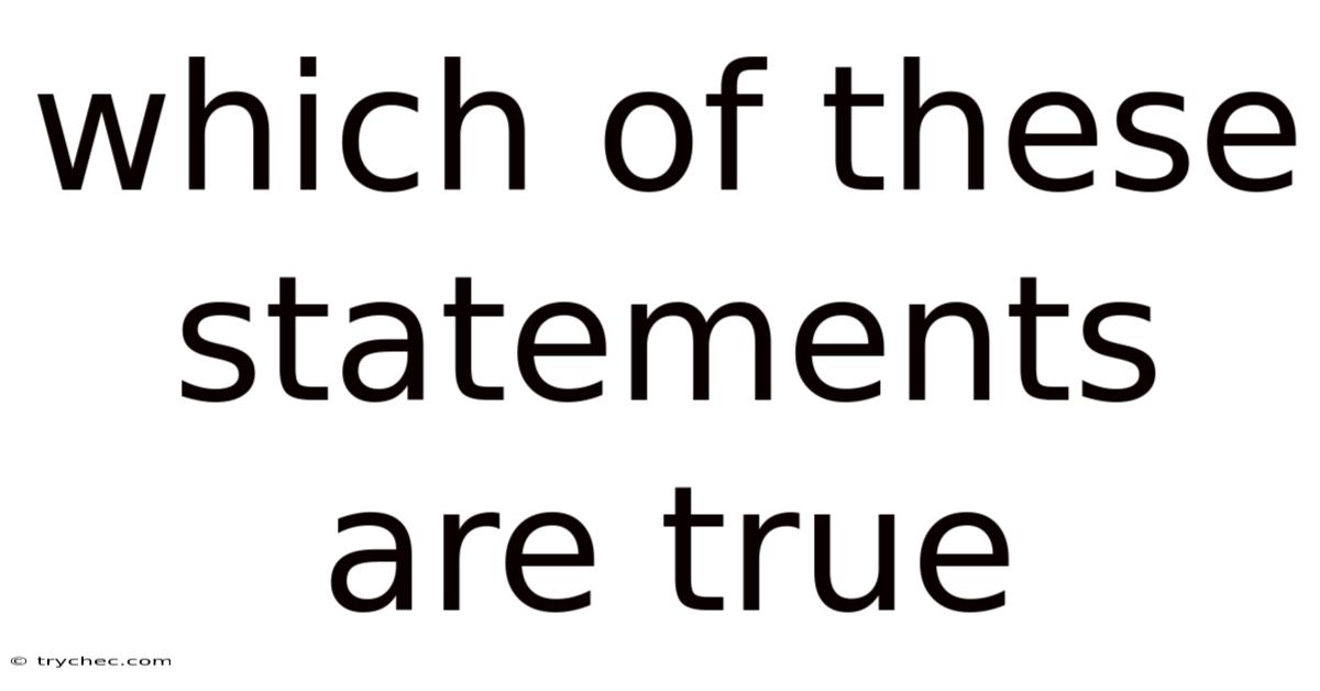 Which Of These Statements Are True