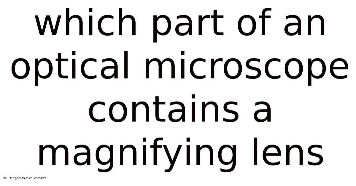 Which Part Of An Optical Microscope Contains A Magnifying Lens