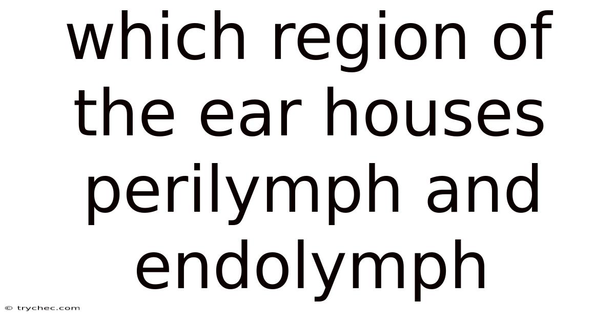 Which Region Of The Ear Houses Perilymph And Endolymph