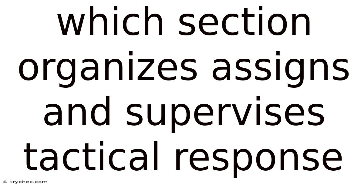 Which Section Organizes Assigns And Supervises Tactical Response