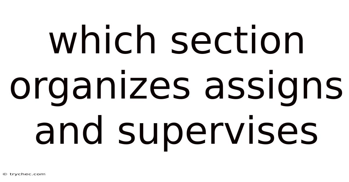 Which Section Organizes Assigns And Supervises