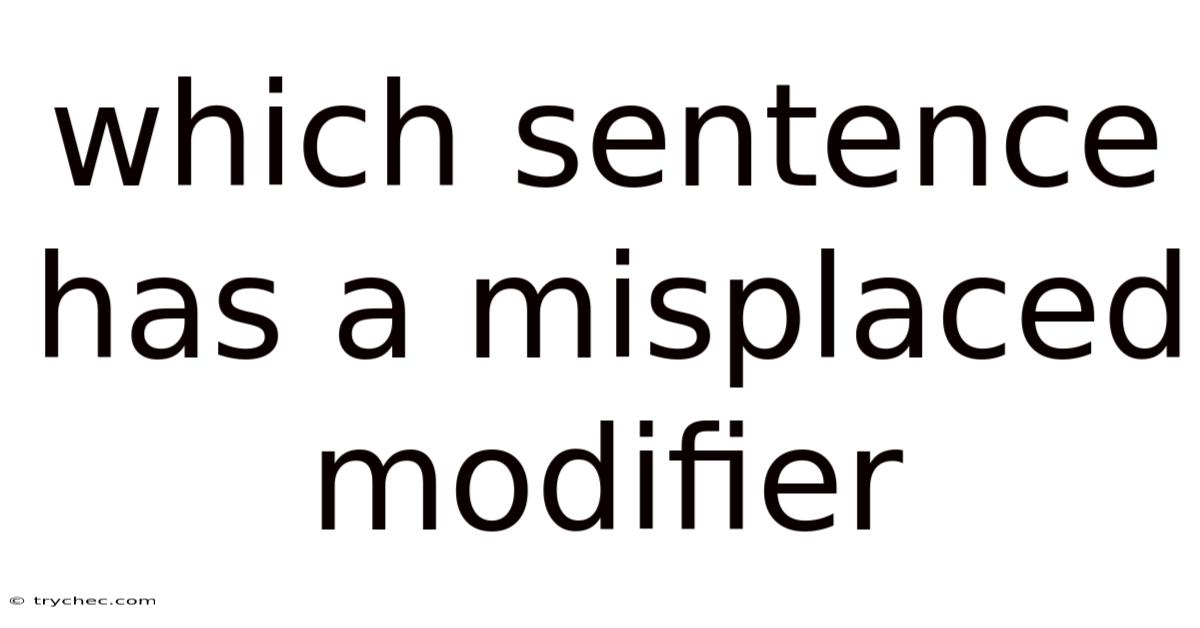 Which Sentence Has A Misplaced Modifier