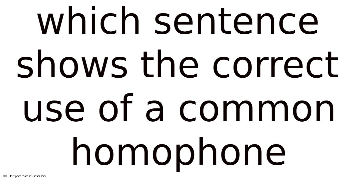 Which Sentence Shows The Correct Use Of A Common Homophone