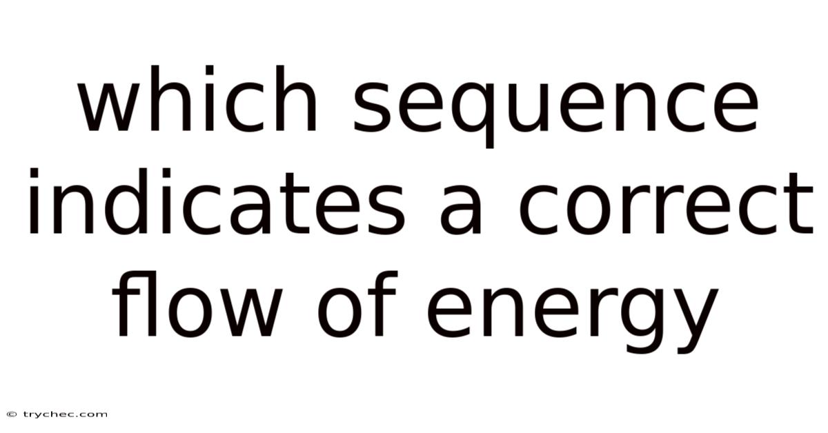 Which Sequence Indicates A Correct Flow Of Energy