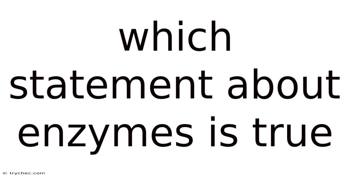 Which Statement About Enzymes Is True