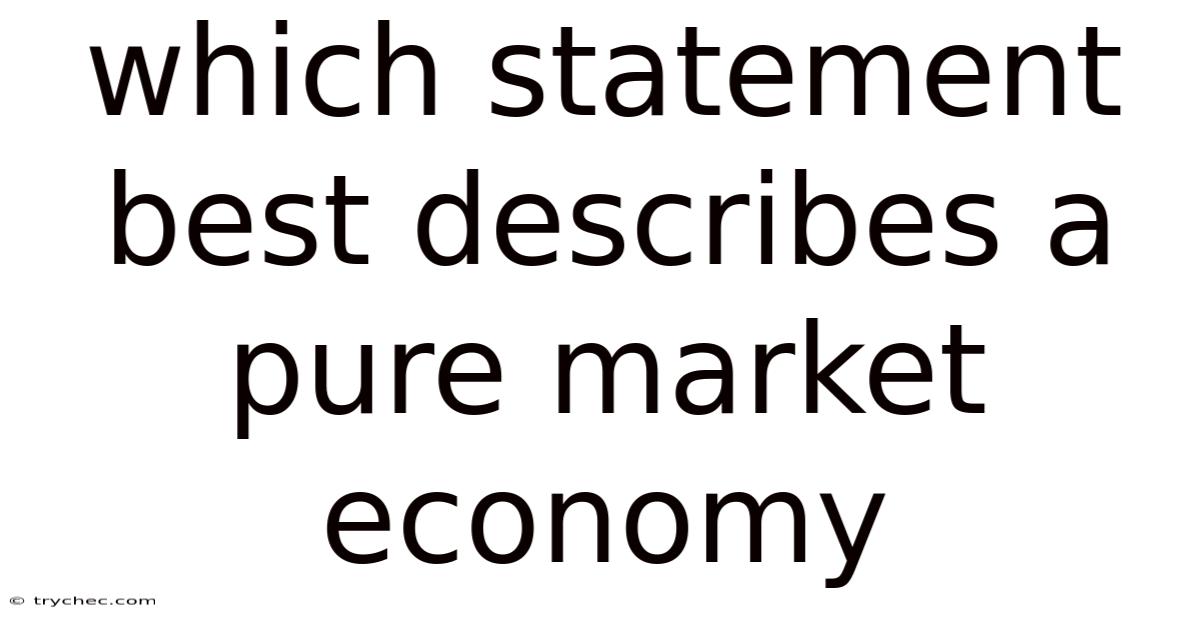 Which Statement Best Describes A Pure Market Economy