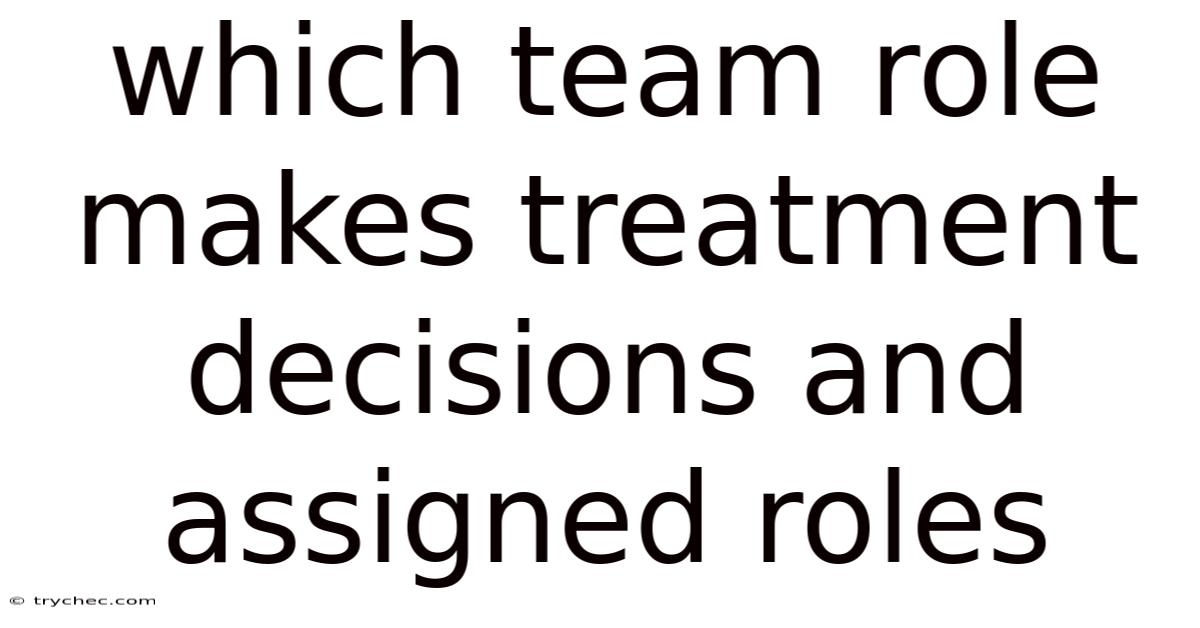 Which Team Role Makes Treatment Decisions And Assigned Roles