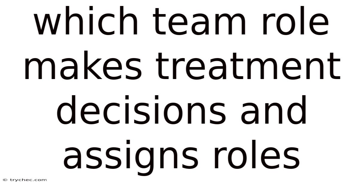 Which Team Role Makes Treatment Decisions And Assigns Roles