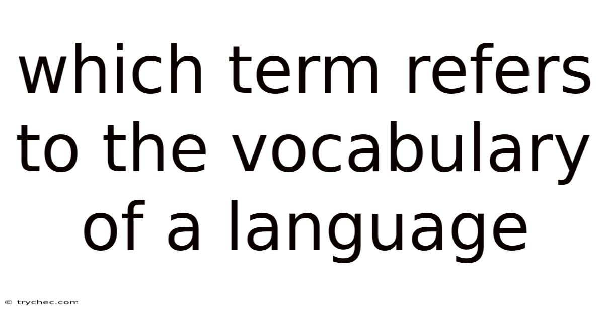 Which Term Refers To The Vocabulary Of A Language