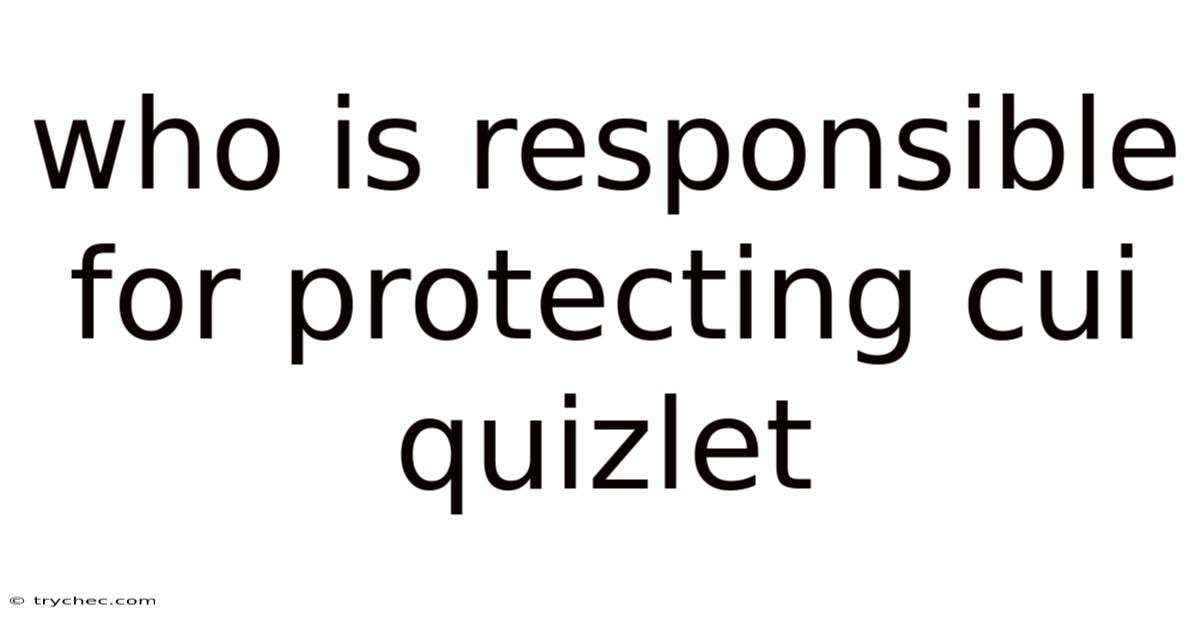 Who Is Responsible For Protecting Cui Quizlet