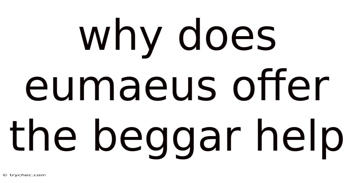 Why Does Eumaeus Offer The Beggar Help