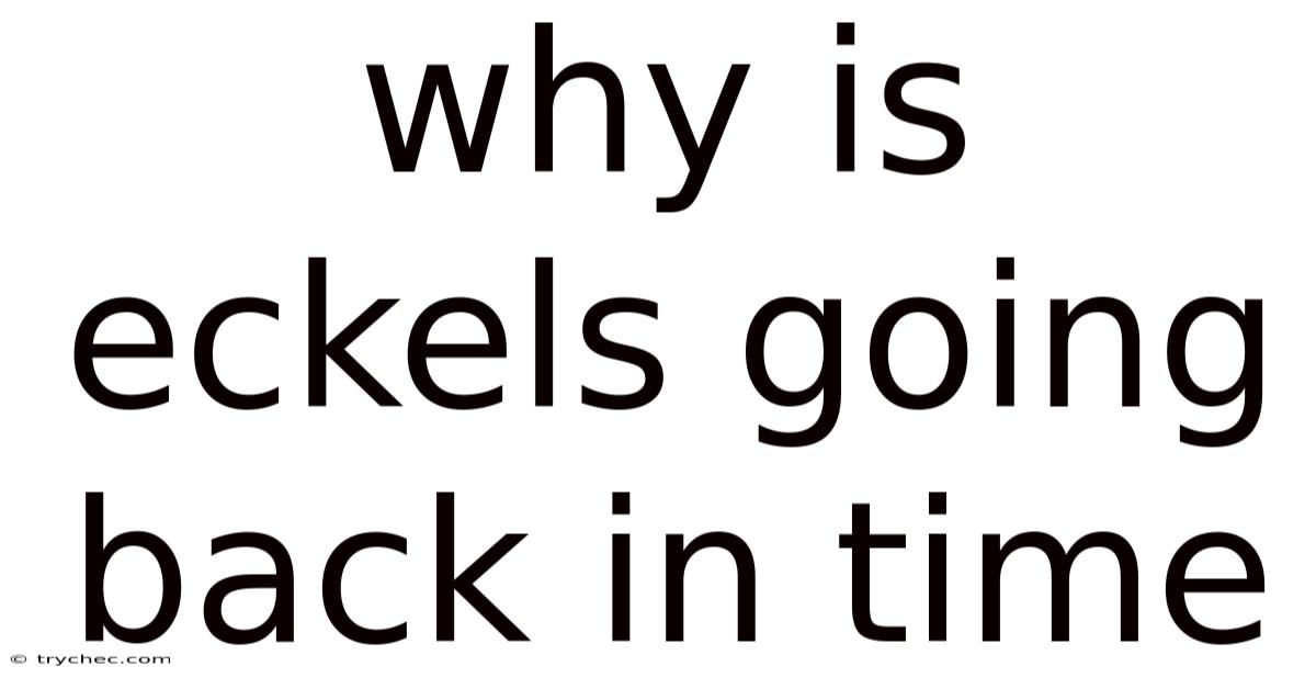 Why Is Eckels Going Back In Time