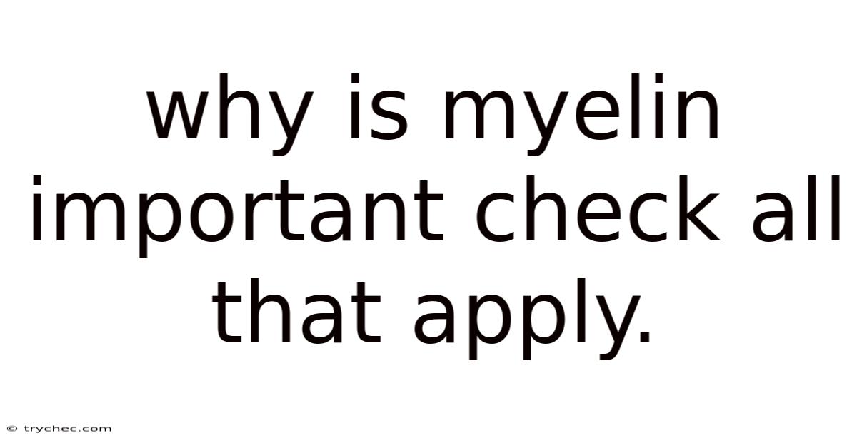 Why Is Myelin Important Check All That Apply.