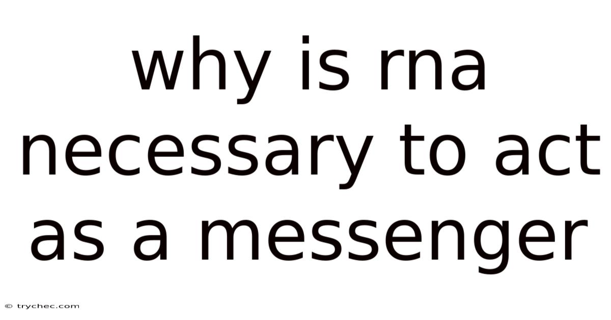 Why Is Rna Necessary To Act As A Messenger