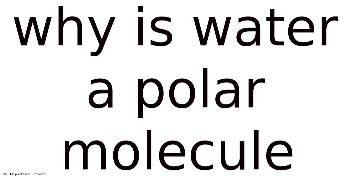 Why Is Water A Polar Molecule