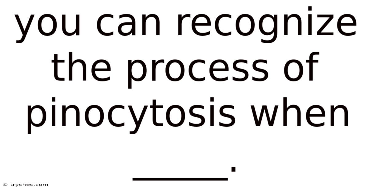 You Can Recognize The Process Of Pinocytosis When _____.