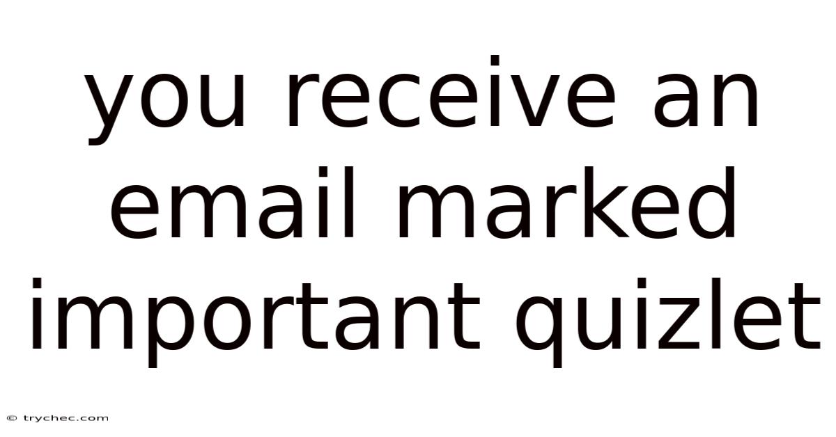 You Receive An Email Marked Important Quizlet